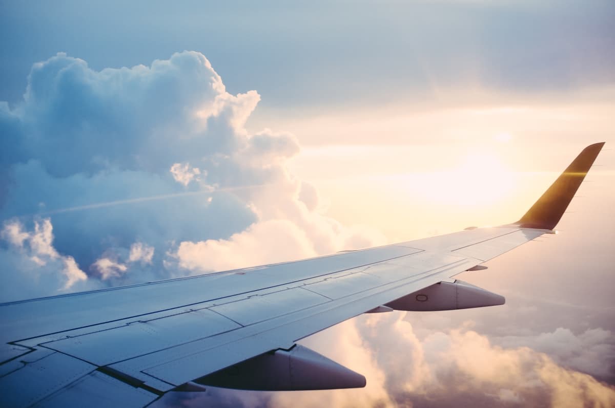 Flight & Travel Services